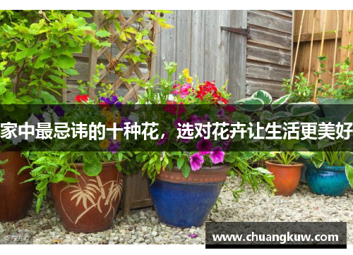 家中最忌讳的十种花，选对花卉让生活更美好