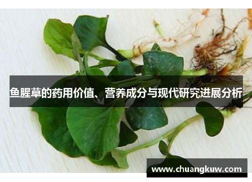 鱼腥草的药用价值、营养成分与现代研究进展分析